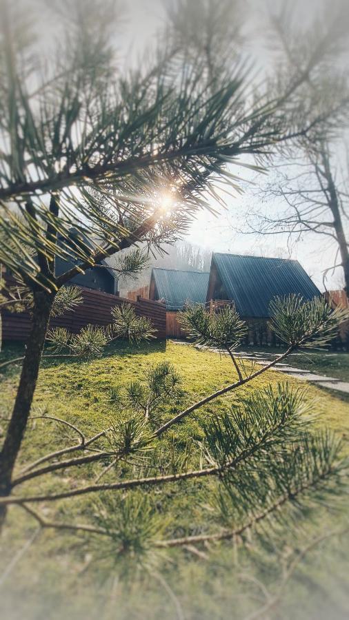 Loca Sapanca Bungalov Esterno foto